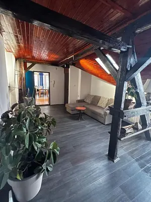 a living room with a couch and a potted plant at Sky Rooftop Huge Apartment in Belgrade