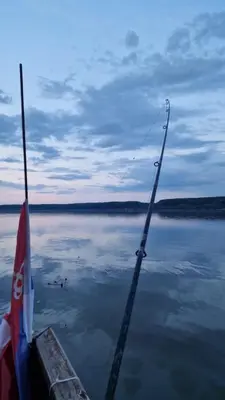 a boat with a pole in the water at Vikendica Emily in Kovin