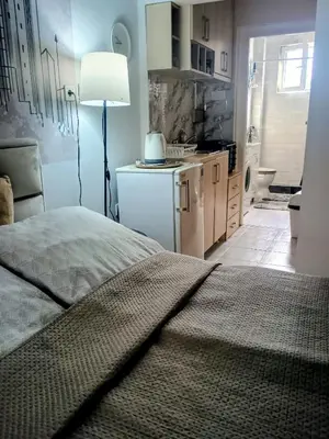 a bedroom with a bed and a kitchen in it at Cosy Central Studio Jana in Belgrade