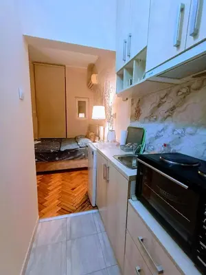 a small kitchen with a sink and a stove at Cosy Central Studio Jana in Belgrade