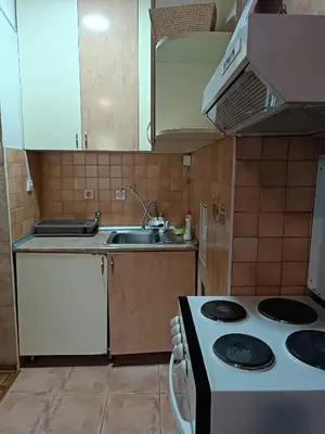 a small kitchen with a stove and a sink at Front Apartment in Belgrade