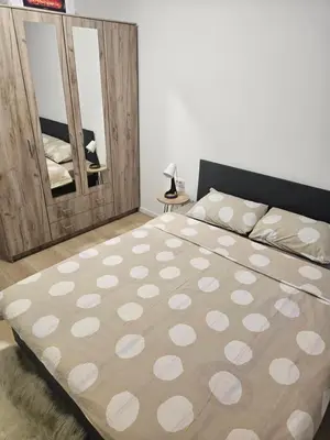 a bedroom with a large bed with a large mirror at Miss Lux in Mladenovac