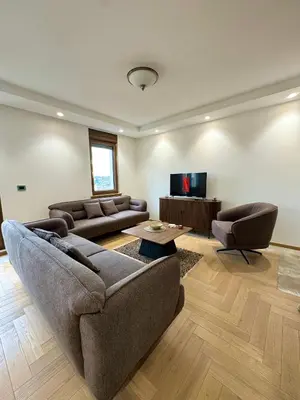 a living room with couches and a flat screen tv at ATHOS Luxury Stay - Luxury and Comfort in the Center of Zvezdara in Belgrade