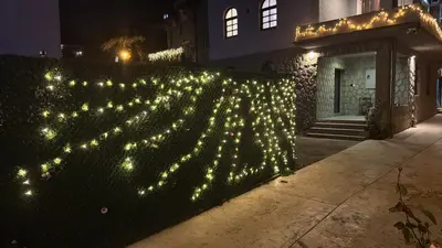 a hedge with lights on it in front of a building at Apartman Andrej in Belgrade