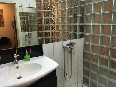 a bathroom with a sink and a shower at Apartman Jovanovic in Belgrade