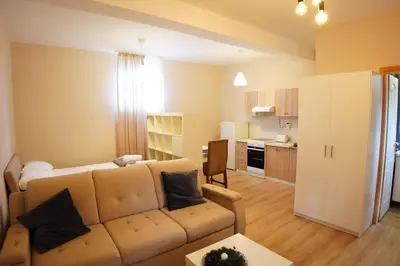 a living room with a couch and a kitchen at Apartmani Kula in Novi Banovci