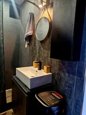 a bathroom with a white sink and a mirror at Bright Room Houseboat in Belgrade