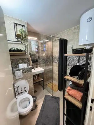 a bathroom with a toilet and a shower at Apartman A 24 in Belgrade