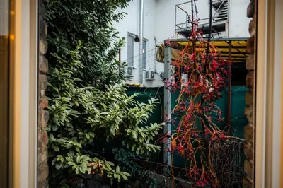 a garden with a bunch of plants on a wall at Tomin sokak Apartment in Belgrade