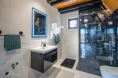 a bathroom with a shower and a sink and a toilet at BlackPoolHouse in Belgrade