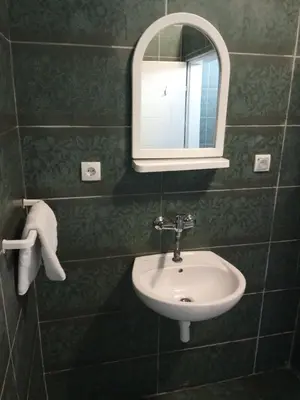 a bathroom with a sink and a mirror at Stan na dan Platičevo in Platičevo