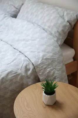 a table with a potted plant on top of a bed at Roof in Belgrade