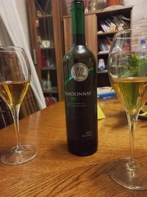 a bottle of wine sitting on a table with two glasses at Apartman Gala Beograd in Belgrade