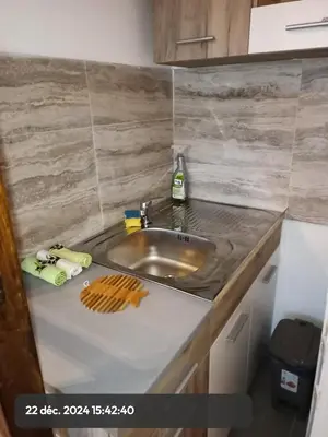 a kitchen counter with a sink and a knife at Stasha in Donja Mala