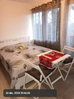 a bed with a table and chairs in a room at Stasha in Donja Mala