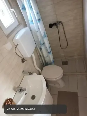 a small bathroom with a toilet and a sink at Stasha in Donja Mala