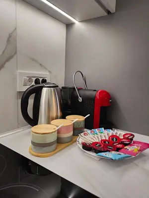 Gallery image of Lux apartment downtown Belgrade in Belgrade