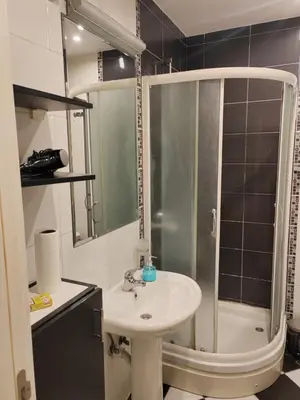 a small bathroom with a sink and a shower at Flat near Belgrade Waterfront in Belgrade