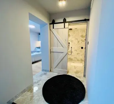 a bathroom with a shower and a door with a rug at Surčin Grape Vine Apartments in Surčin