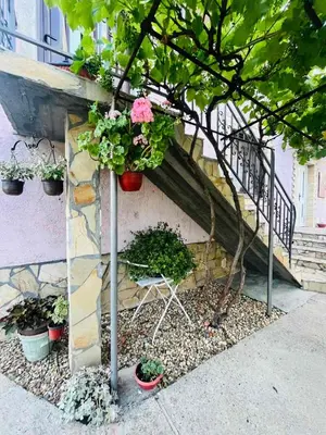 a staircase with potted plants and a chair next to a building at Surčin Grape Vine Apartments in Surčin