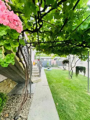 a garden with pink flowers and a sidewalk at Surčin Grape Vine Apartments in Surčin