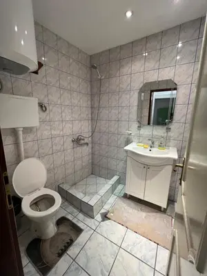 a bathroom with a toilet and a sink and a mirror at Bed and Shower Alone in Belgrade