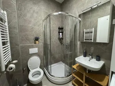a bathroom with a shower and a toilet and a sink at Woodstar Apart in Belgrade