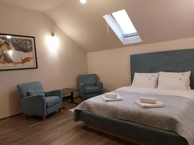 a bedroom with a bed and two chairs and a skylight at Bellmatini 07 in Tošin Bunar