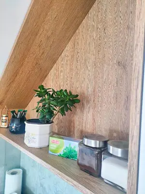 a shelf with a potted plant on it in a kitchen at Buku Hill in Arandjelovac