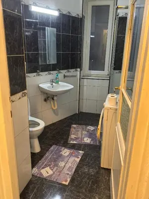 a bathroom with a sink and a toilet at Belgrade Skadarlija Apartment - City center in Belgrade