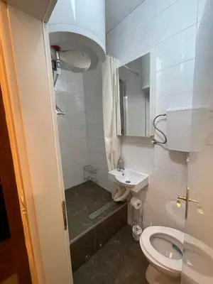 a small bathroom with a toilet and a sink at Apartman Hram in Belgrade