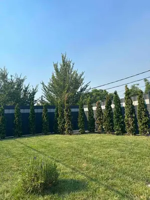 a fence with a row of trees in a yard at Elysium Garden in Belgrade