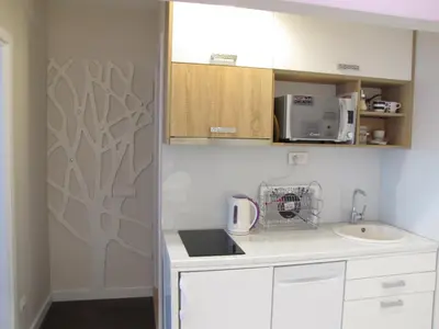 a small kitchen with a sink and a microwave at Apartments Tom&Jerry in Belgrade