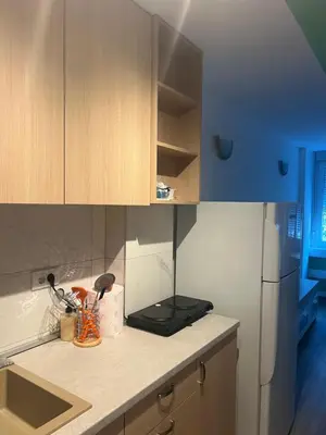 a kitchen with a counter top with a refrigerator at Pariske komune in Belgrade