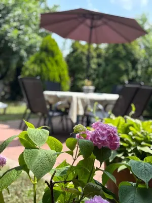 a table and chairs with purple flowers and an umbrella at Apartmani IDILA in Smederevo