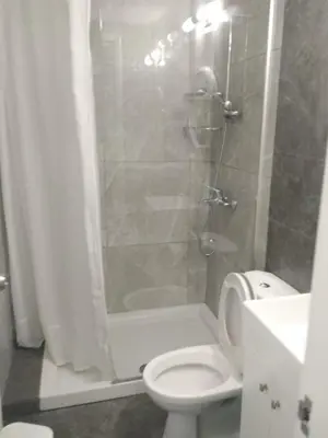 a bathroom with a white toilet and a shower at Natali apartment in Belgrade