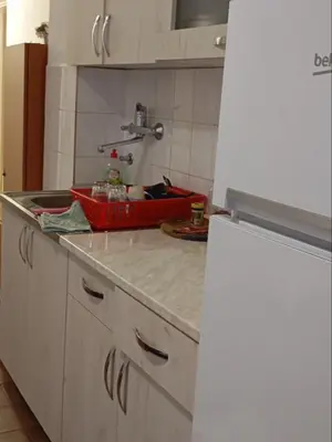 a kitchen with a counter top with a refrigerator at Natali apartment in Belgrade