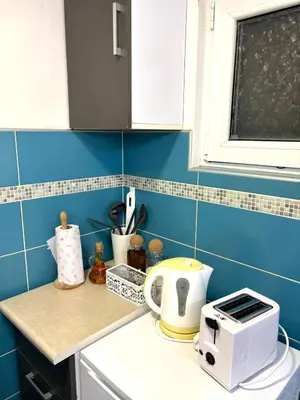 a kitchen counter with a toaster and a toaster at Apartman Helena 2 in Lazarevac