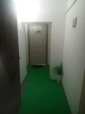 a hallway with a door and a green floor at Small low cost studio Dorcol in Belgrade
