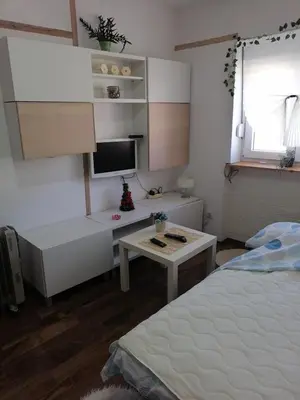 a bedroom with a bed and a desk with a computer at Small low cost studio Dorcol in Belgrade