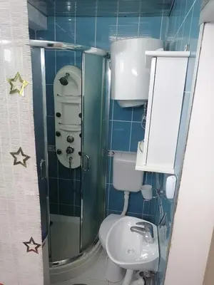 a small bathroom with a toilet and a shower at Small low cost Dorcol in Belgrade