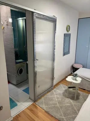a bathroom with a shower and a toilet in a room at Small low cost Dorcol in Belgrade