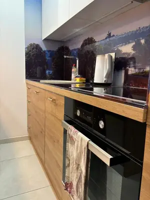 a kitchen with a stove and a counter top at Exing Prime 65 New Belgrade in Belgrade