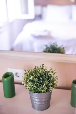 two green plants in a silver pot on a table at Crown Apartment - Your Royal Stay in Belgrade