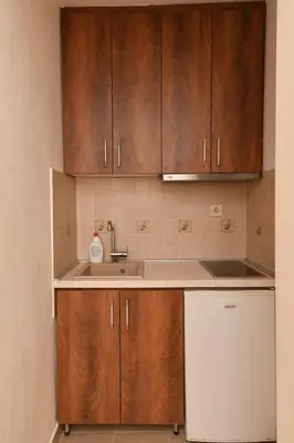 a kitchen with wooden cabinets and a sink at Apartment Nikola in Belgrade