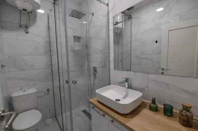 a bathroom with a shower and a toilet and a sink at Apartment Nikola in Belgrade