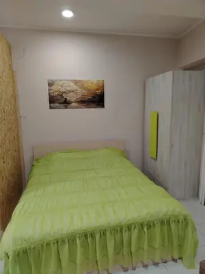 a bedroom with a green bed and a painting on the wall at STAN NA DAN - Garsonjera PRAMAC in Žarkovo