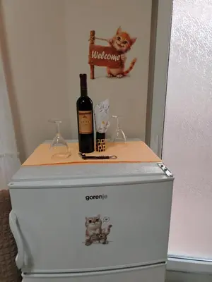 a bottle of wine sitting on top of a refrigerator at STAN NA DAN - Garsonjera PRAMAC in Žarkovo