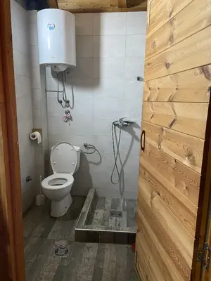 a small bathroom with a toilet and a shower at Bird of Paradise in Belgrade