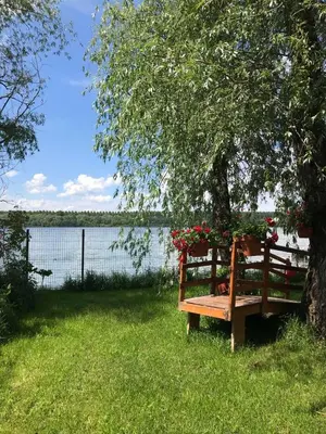 a bench sitting under a tree next to a lake at Bird of Paradise in Belgrade